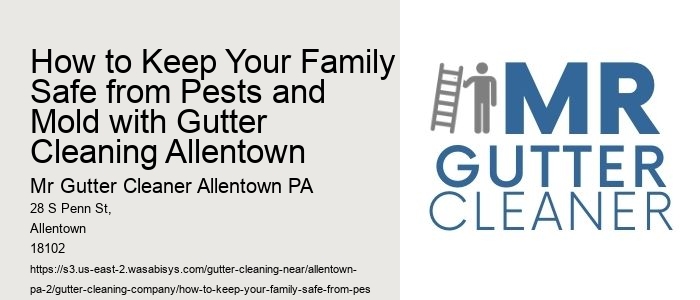 How to Keep Your Family Safe from Pests and Mold with Gutter Cleaning Allentown