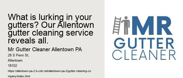 What is lurking in your gutters? Our Allentown gutter cleaning service reveals all.