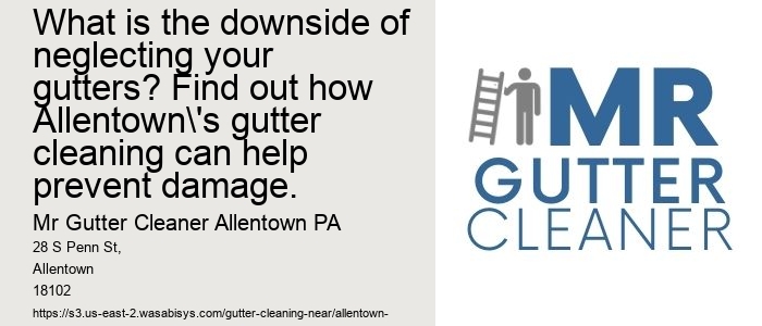 What is the downside of neglecting your gutters? Find out how Allentown's gutter cleaning can help prevent damage.