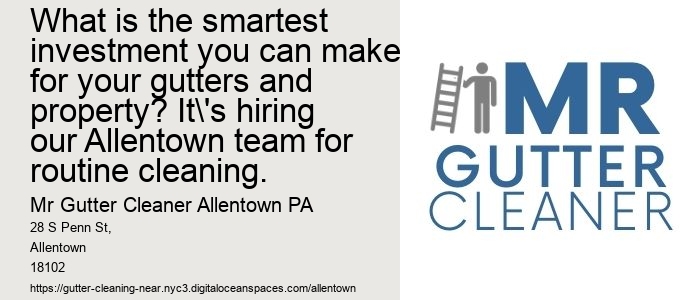 What is the smartest investment you can make for your gutters and property? It's hiring our Allentown team for routine cleaning.